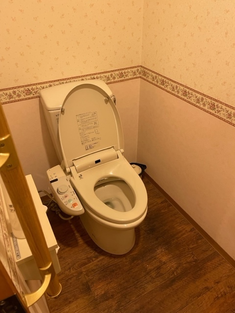 toilet2.jpeg